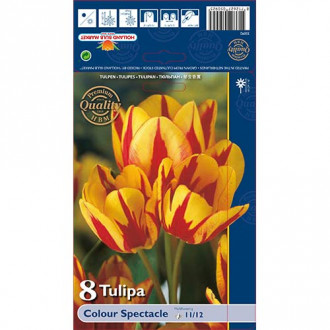 Tulpju Colour Spectacle interface.image 3