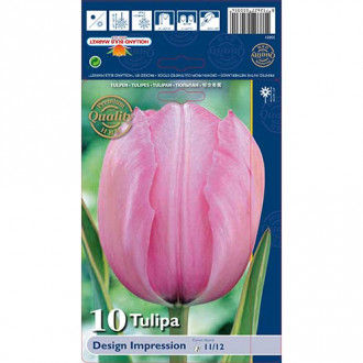 Tulpes Darvina Design Impression interface.image 5