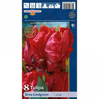 Tulpes papagaiļu Erna Lindgreen interface.image 3