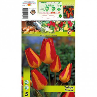 Tulpes Florette interface.image 2