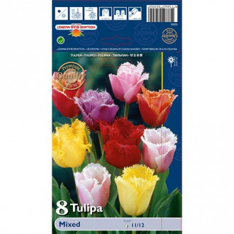 Barkšziedu Tulpes Fringed, krāsu mix interface.image 6