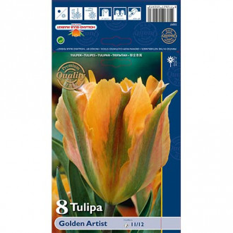 Tulpes dārza Golden Artist interface.image 2