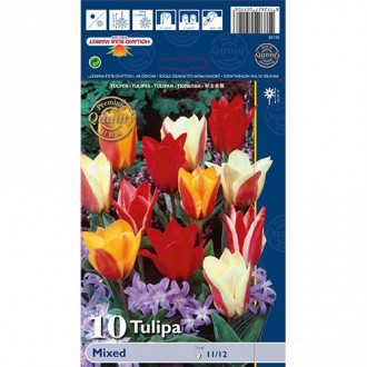 Tulpes Greiga, krāsu mix interface.image 5