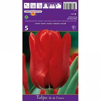 Tulpes Ile de France interface.image 2