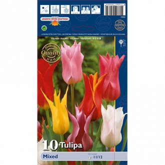 Tulpes lilijziedu, krāsu mix interface.image 2