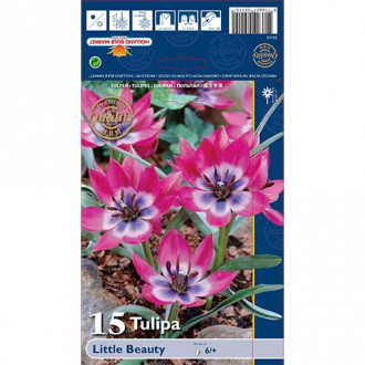 Tulpes botāniskās Little Beauty interface.image 5