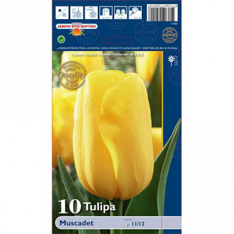 Tulpju Muscadet interface.image 2