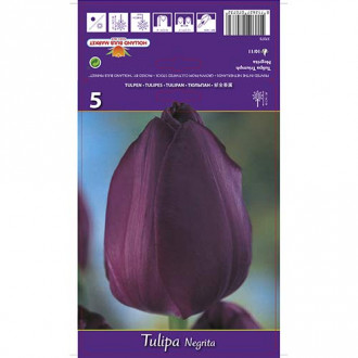 Tulpju Negrita interface.image 1