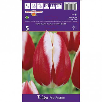 Tulpes Triumph Pole Position interface.image 3