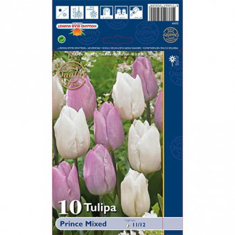 Tulpes Prince, kāsu mix interface.image 3