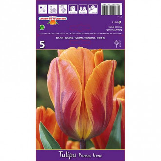 Tulpes Prinses Irene interface.image 5