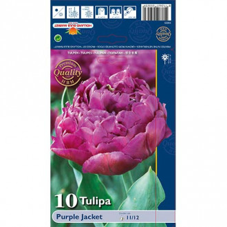 Tulpju Purple Jacket interface.image 6