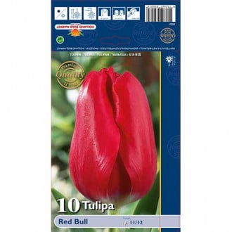 Tulpes Triumph Red Bull interface.image 4