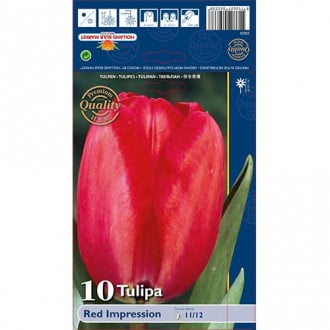 Tulpes Darvina Red Impression interface.image 2