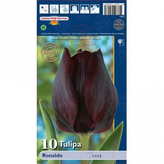 Tulpes Triumph Ronaldo interface.image 4