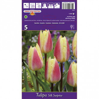 Tulpes Triumph Silk Surprise interface.image 6