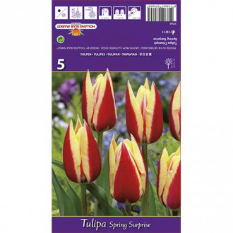 Tulpes Triumph Spring Surprise interface.image 6