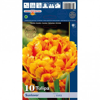 Tulpes pildītās Sunlover interface.image 2