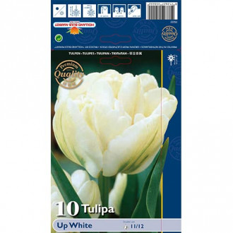 Tulpes pildītās Up White interface.image 4