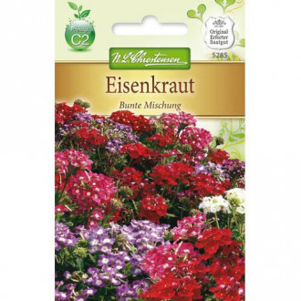 Verbena Colorfull, maisījums interface.image 3