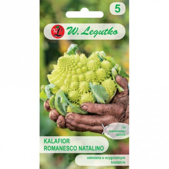 Ziedkāposti Romanesco natalino interface.image 5