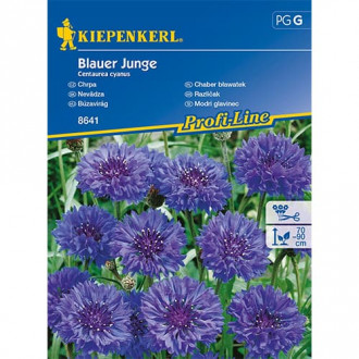 Zilās rudzupuķes Blauer Junge interface.image 4