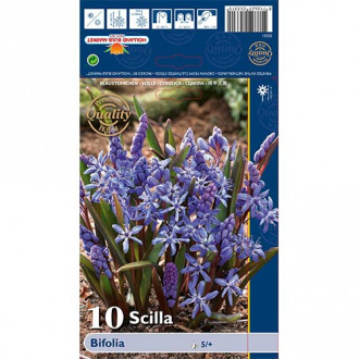 Zilsniedzīte Bifolia interface.image 5