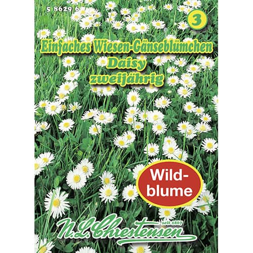 Mārpuķītes Daisy interface.image 1 interface.art 87801