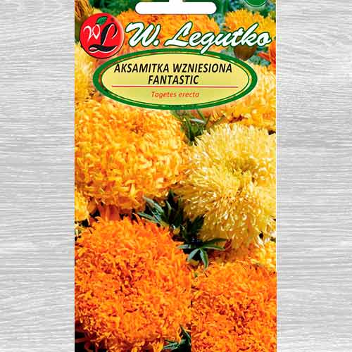 Samtenes Fantastic, maisījums Legutko interface.image 1 interface.art 69554