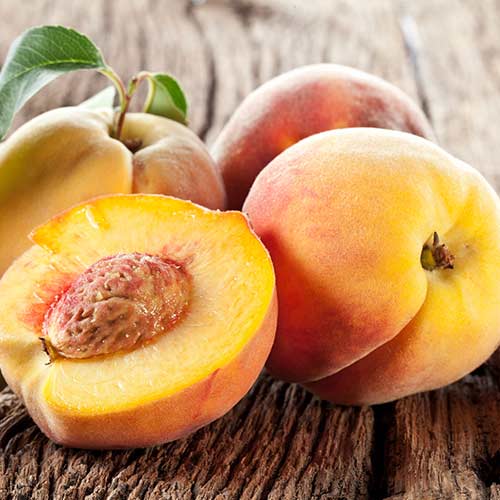 Persiku Fayette interface.image 1 interface.art 4293