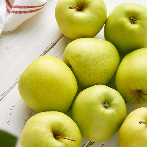 Ābele Golden Super, С2 interface.image 1 interface.art 7972