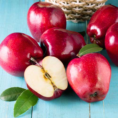 Ābele Red Shar, С2 interface.image 1 interface.art 7977