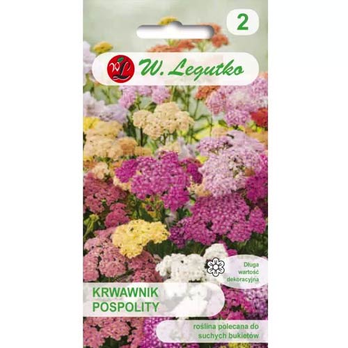 Achillea zieds, maisījums Legutko interface.image 1 interface.art 50106