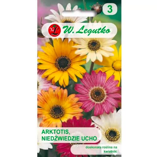 Afrikos ramunė, maisījums Legutko interface.image 1 interface.art 69555