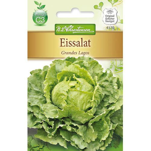 Aisberga salāti Grandes Lagos interface.image 1 interface.art 78761