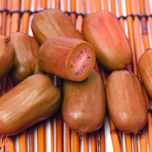 Aktinīdija Ken’s Red, P9 interface.image 1 interface.art 9240