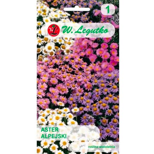 Alpu asteres zilā krāsā Legutko interface.image 1 interface.art 78596