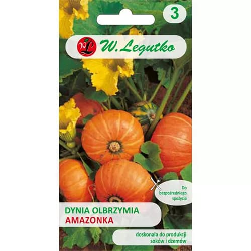 Amazon ķirbis interface.image 1 interface.art 69459