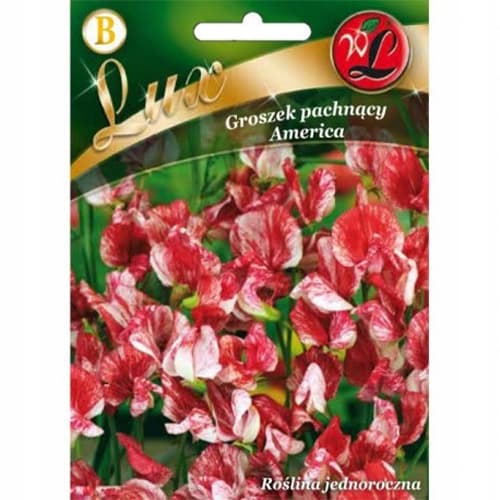 America saldie zirņi - balti ar sarkanām svītrām interface.image 1 interface.art 86746