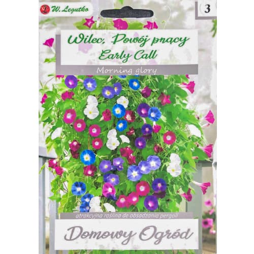 Anemone, Agrīnais zvanu Clematis interface.image 1 interface.art 96781