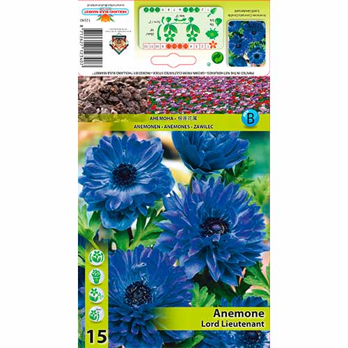 Anemone (Anemone) Double Lord Lieutenant interface.image 1 interface.art 76165