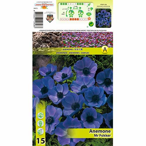 Anemone Mr Fokker interface.image 1 interface.art 70339