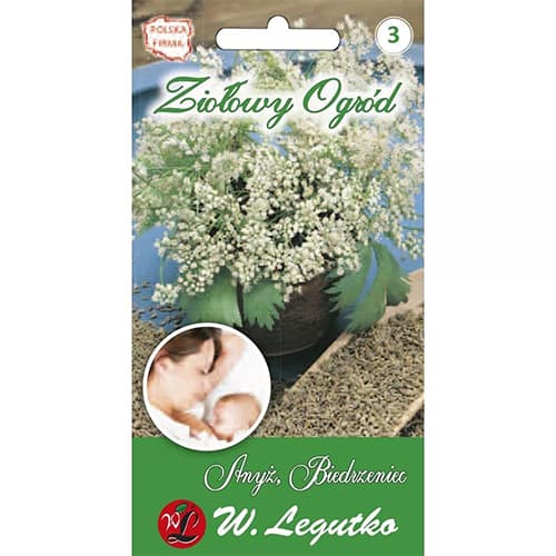 Anīss, Lācene interface.image 1 interface.art 69664