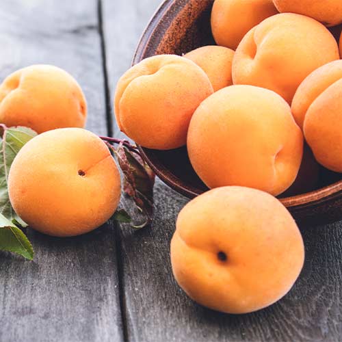 Aprikoze Anubis interface.image 1 interface.art 4856