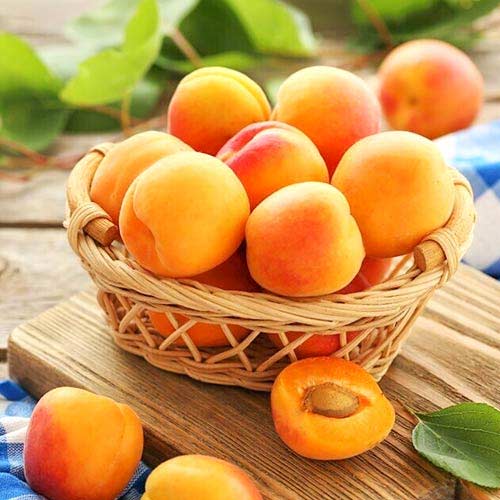 Aprikoze Diamond, С2 interface.image 1 interface.art 4277