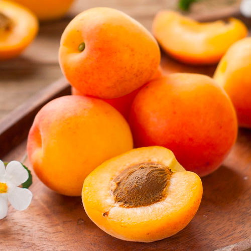 Aprikoze South Sea, С2 interface.image 1 interface.art 1626