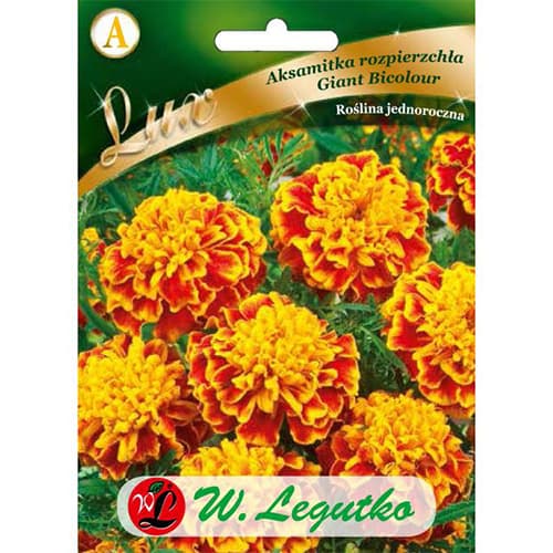 Ārējie resursi Giant Bicolour interface.image 1 interface.art 78650