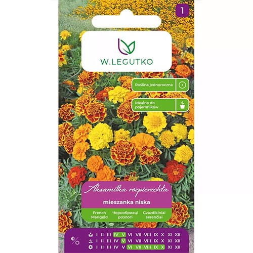 Ārējie resursi, jaukt interface.image 1 interface.art 69551