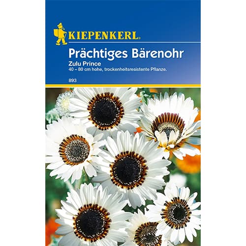 Arktotes Zulu Prince interface.image 1 interface.art 77423