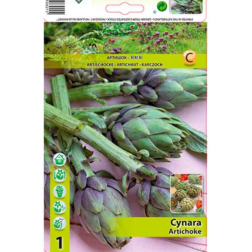 Artišoki Cynara interface.image 1 interface.art 70502
